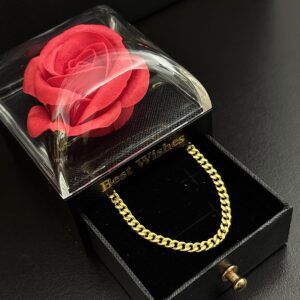 Colar Pitbull 3mm + Porta Joia