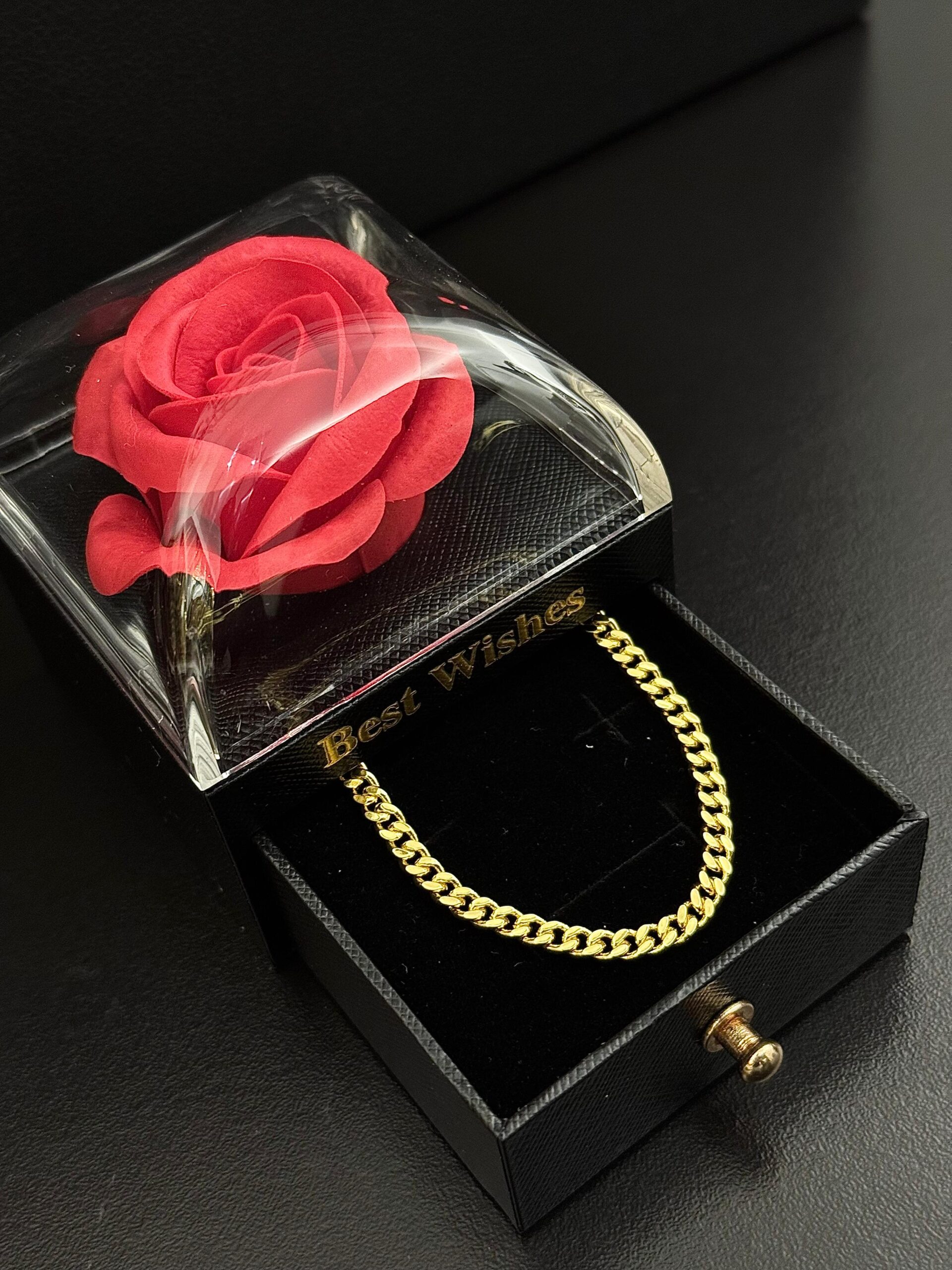 Colar Pitbull 3mm + Porta Joia