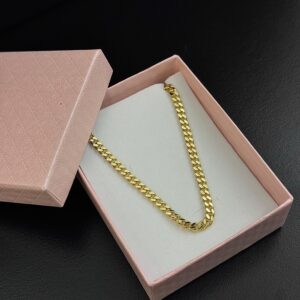 Colar Pitbull 3mm • Porta Joias “Brinde”